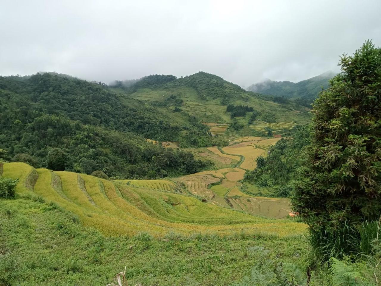 Bac Ha Charm Stay 外观 照片