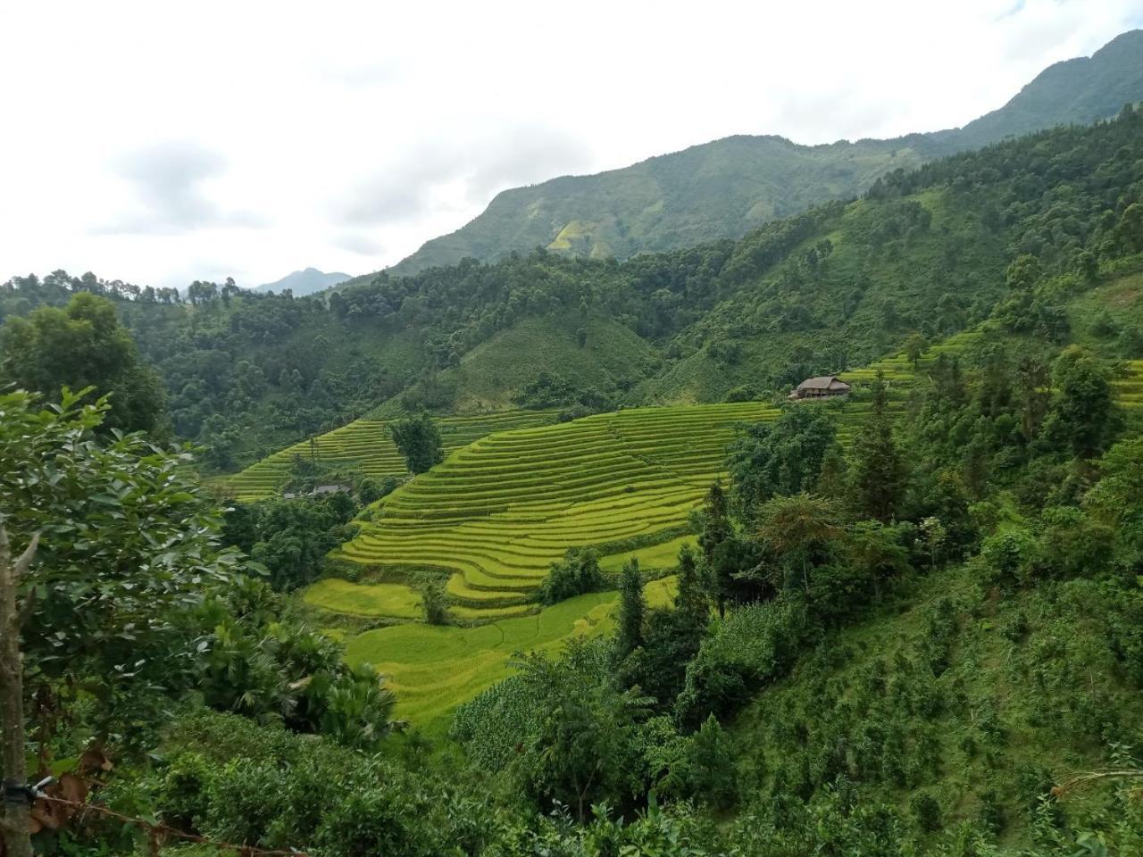 Bac Ha Charm Stay 外观 照片