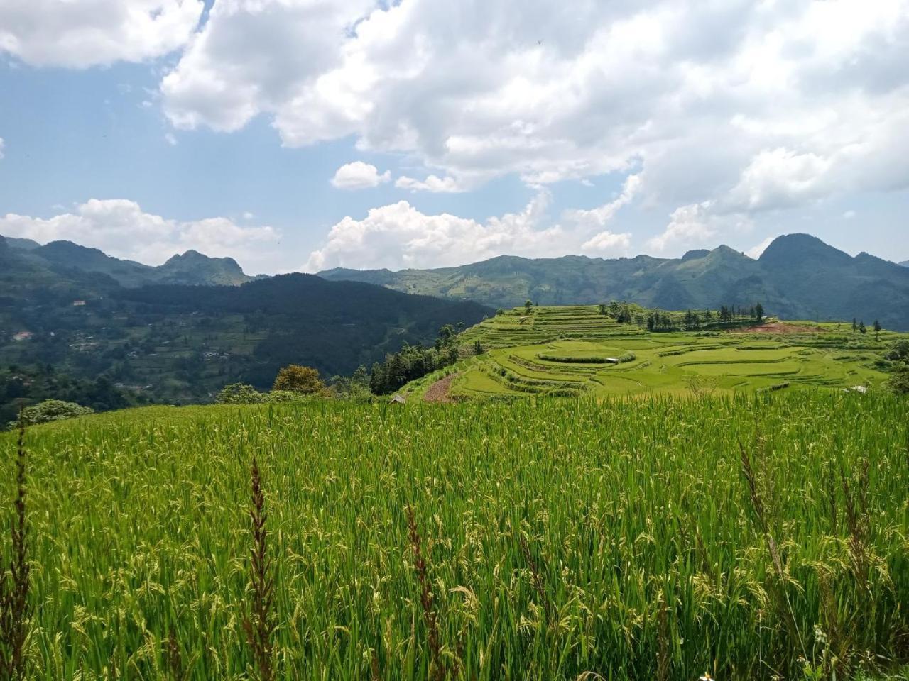 Bac Ha Charm Stay 外观 照片