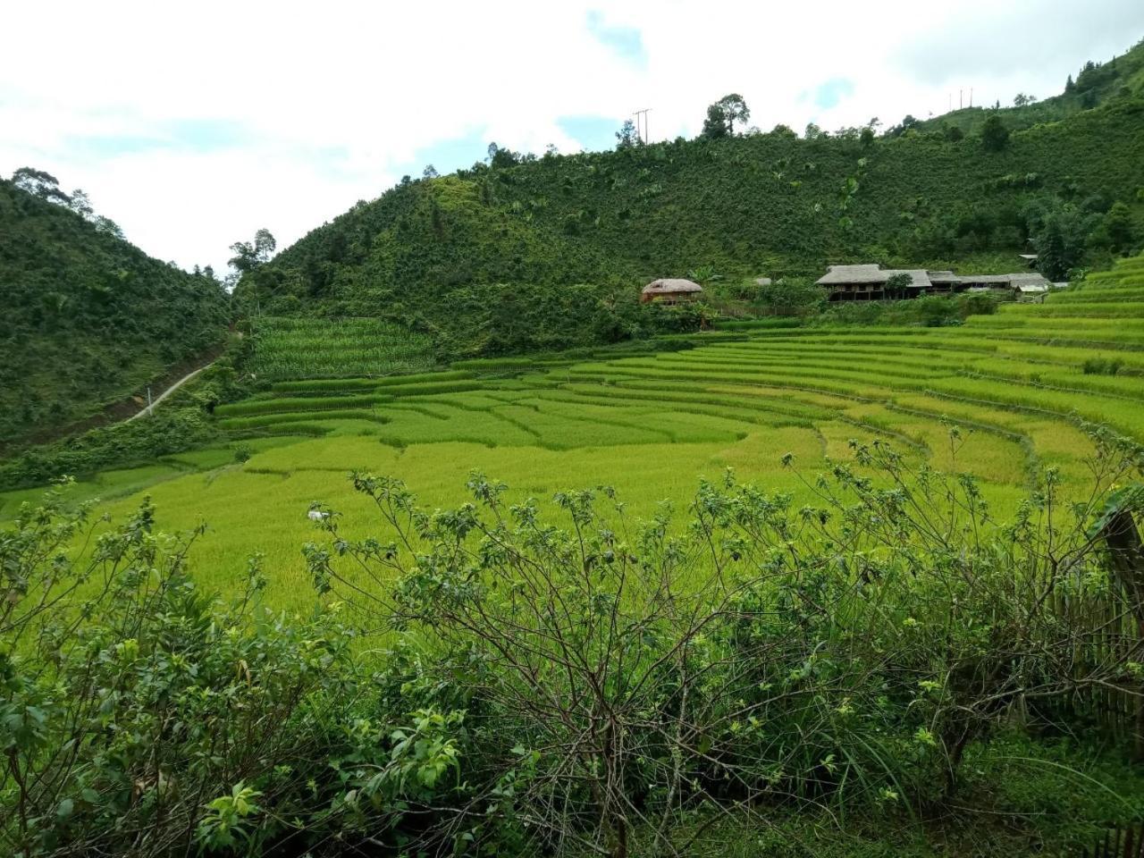 Bac Ha Charm Stay 外观 照片