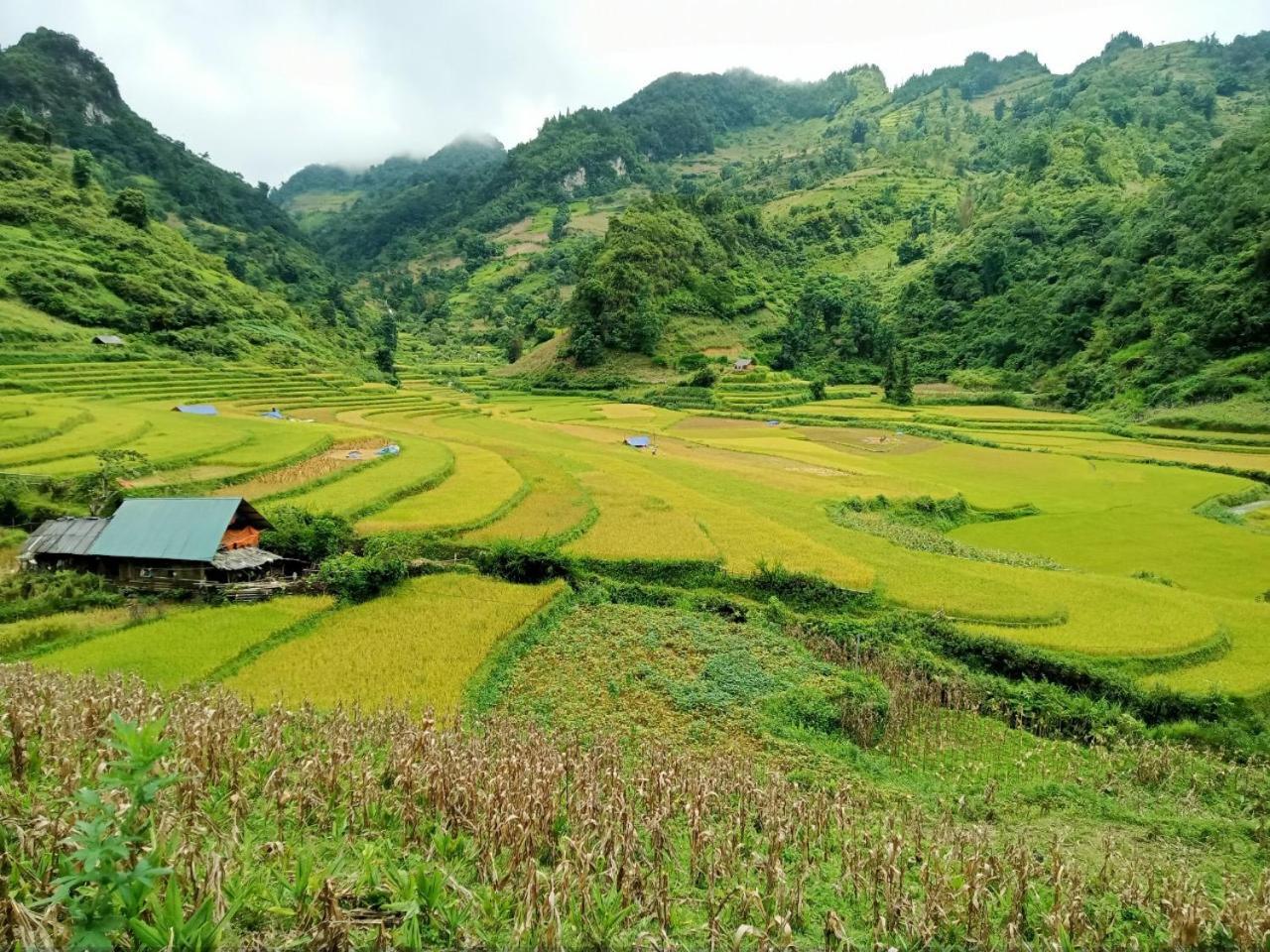 Bac Ha Charm Stay 外观 照片