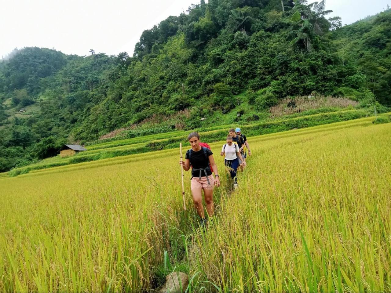 Bac Ha Charm Stay 外观 照片
