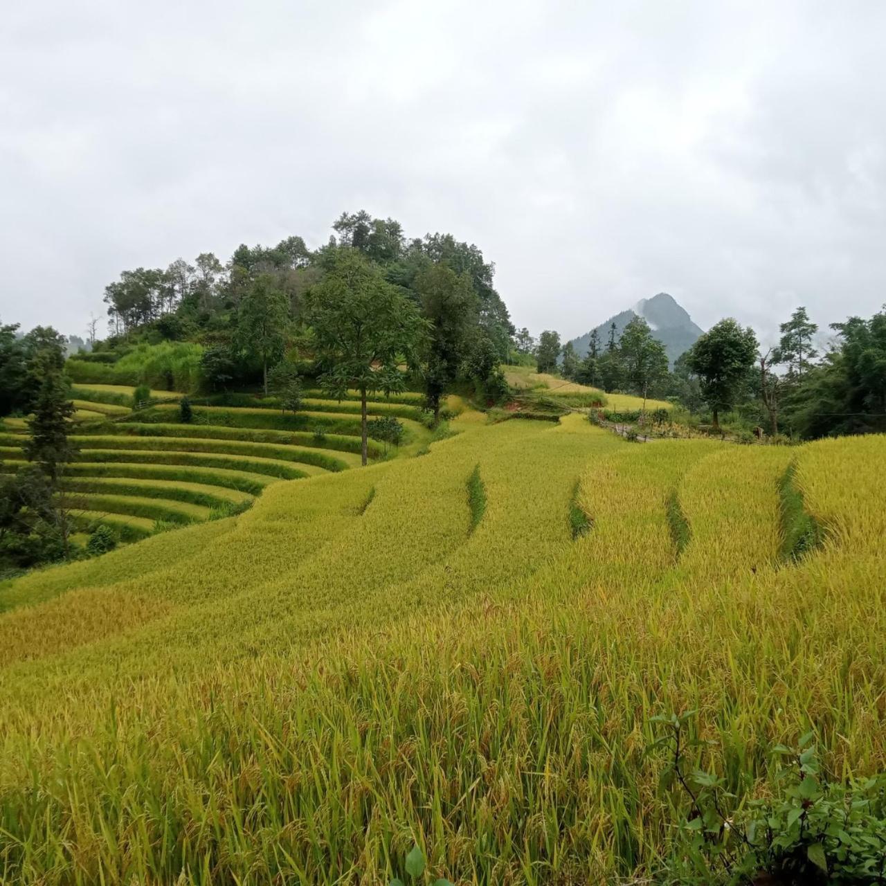 Bac Ha Charm Stay 外观 照片