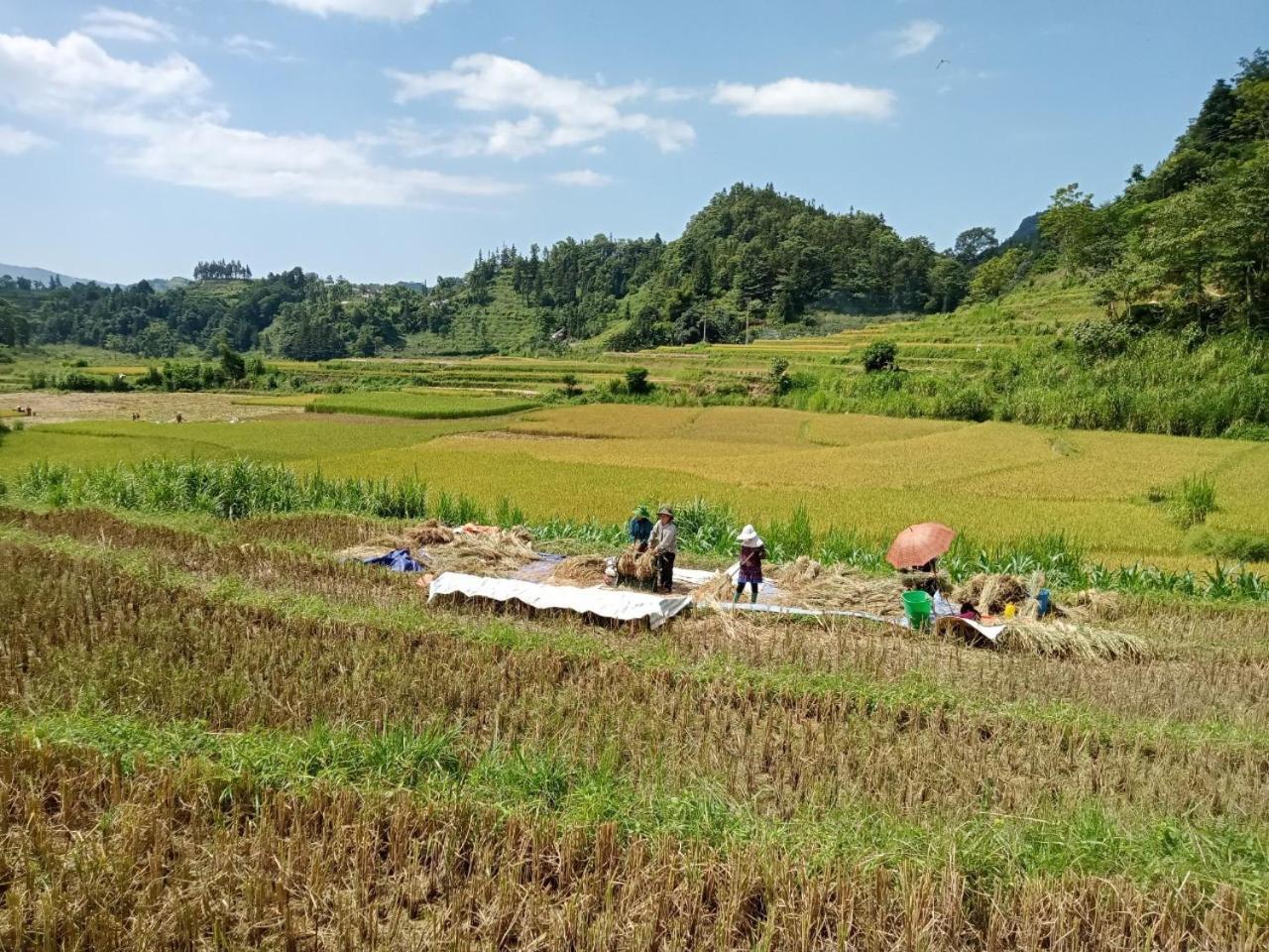 Bac Ha Charm Stay 外观 照片